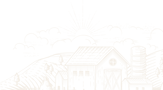 Afyon Kurbanlık Hayvan | Akika Kurbanı | Şükür Kurbanı | Afyon Adaklık Kurban