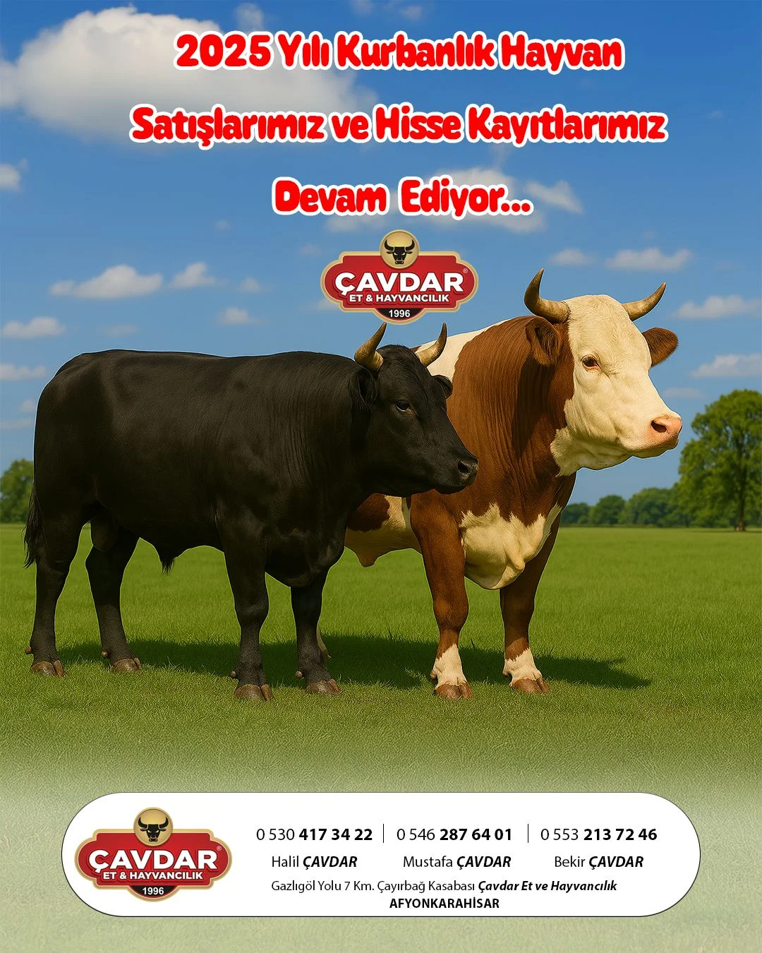 Afyon Kurbanlık Hayvan | Akika Kurbanı | Şükür Kurbanı | Afyon Adaklık Kurban