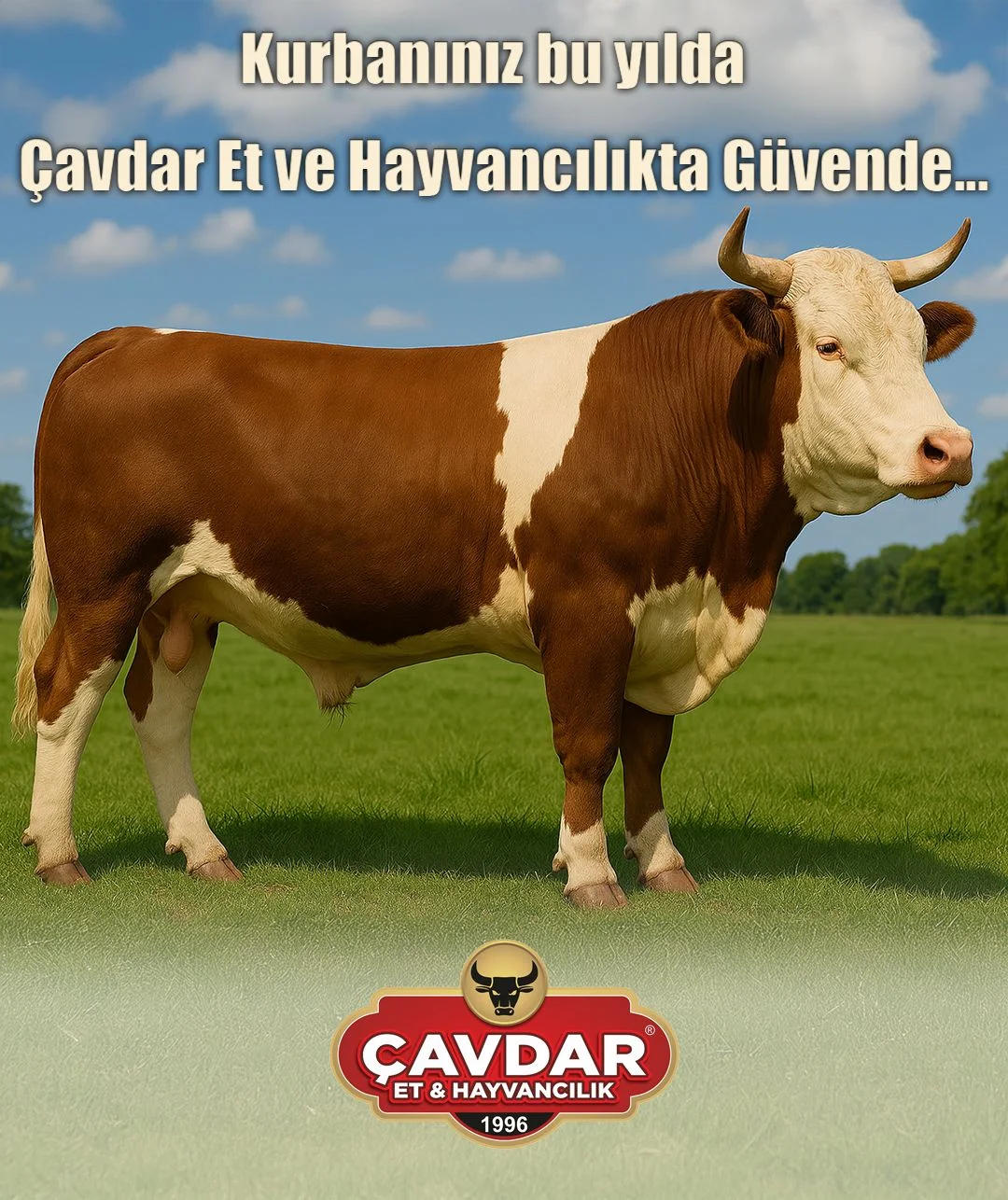 Afyon Kurbanlık Hayvan | Akika Kurbanı | Şükür Kurbanı | Afyon Adaklık Kurban